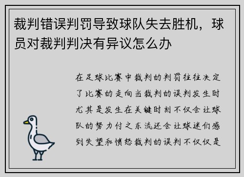 裁判错误判罚导致球队失去胜机，球员对裁判判决有异议怎么办