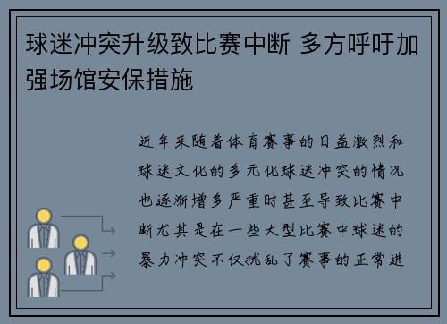 球迷冲突升级致比赛中断 多方呼吁加强场馆安保措施